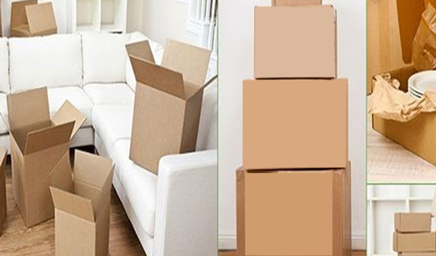 Domestic Relocation Services 