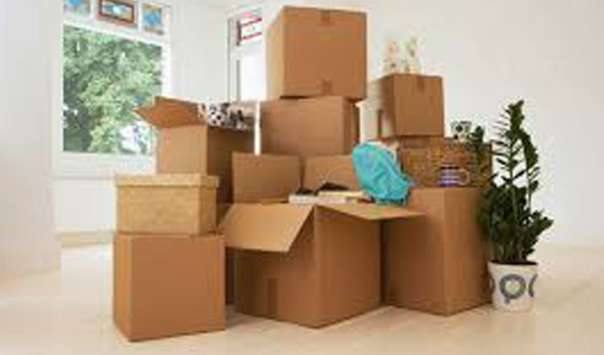 Local Shifting Services 