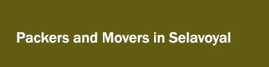 Packers and Movers in Selavoyal